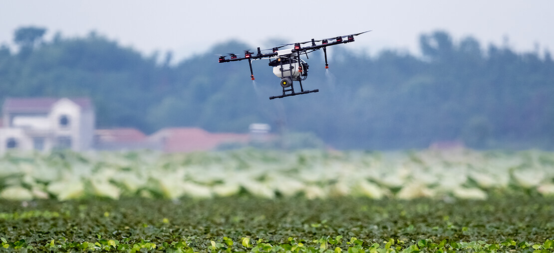 Agricultura sustentável: o que é e quais os desafios dessa modalidade