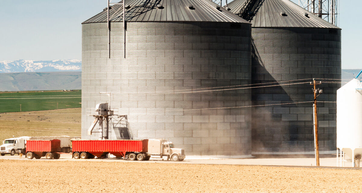 Gestão da logística no agronegócio: principais desafios e possíveis soluções