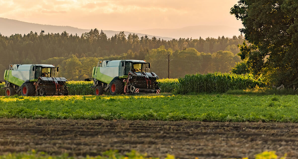 Graxas lubrificantes para máquinas agrícolas: como fazer o uso adequado