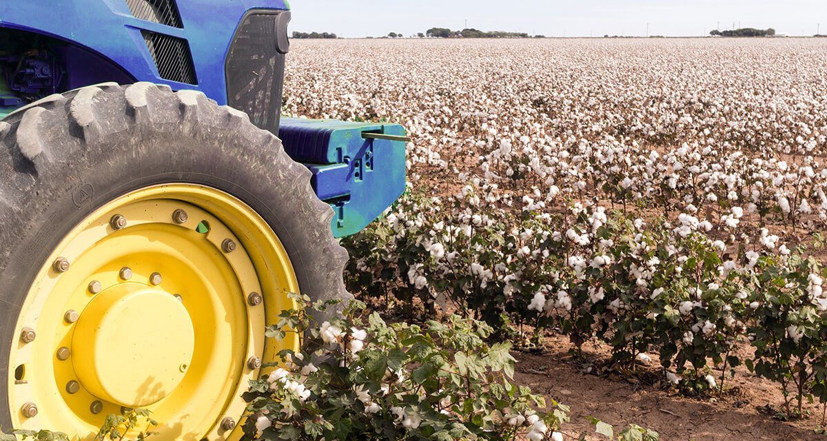 Como o agronegócio ganhou performance com PETRONAS Hydraulic