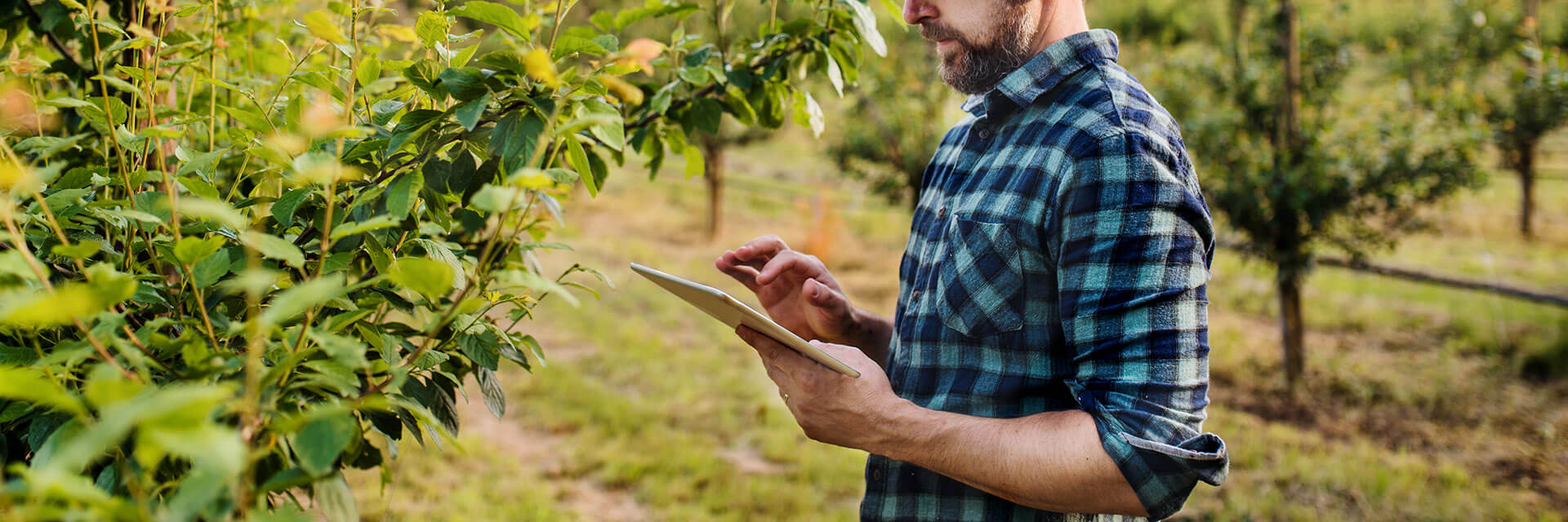 Como escolher os fornecedores na hora da compra de insumos agrícolas