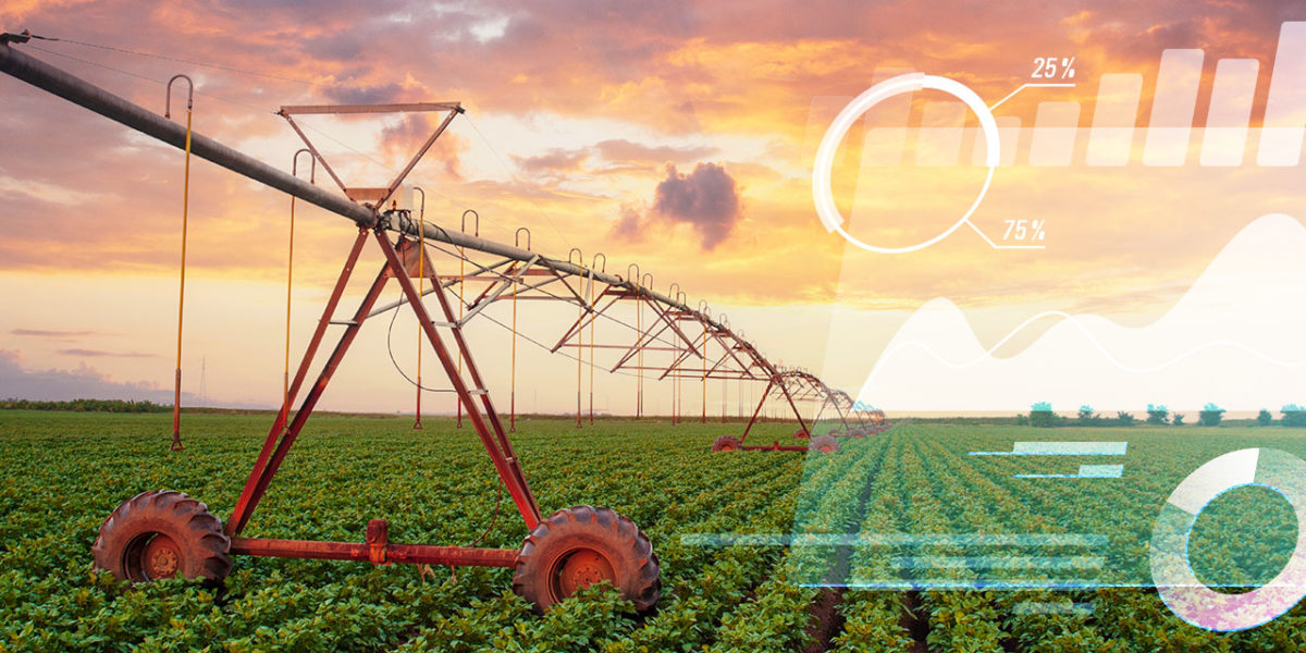 Irrigação de precisão: entenda seu papel na Agricultura 4.0