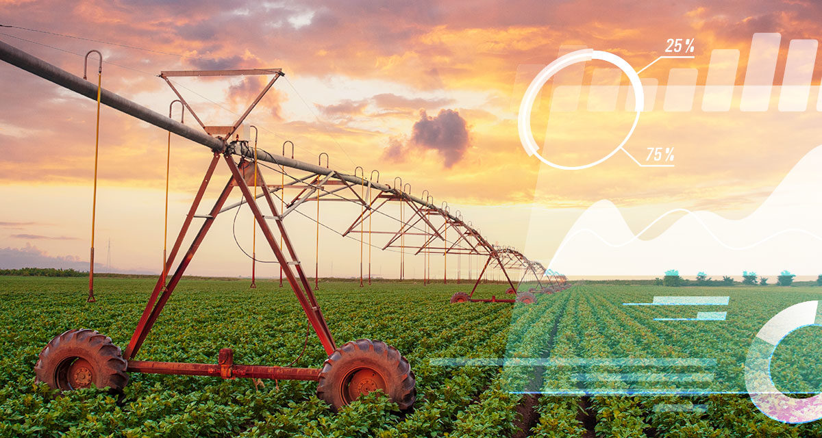 Irrigação de precisão: entenda seu papel na Agricultura 4.0