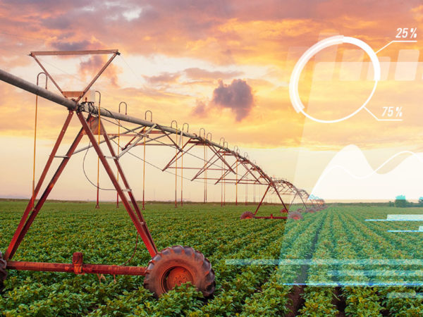 Irrigação de precisão: entenda seu papel na Agricultura 4.0